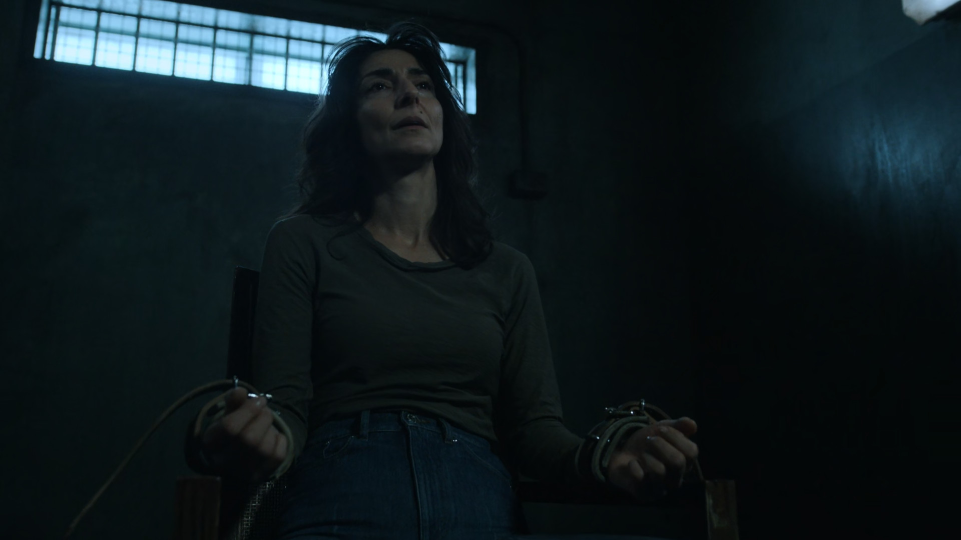 Necar Zadegan - CIA S01E03